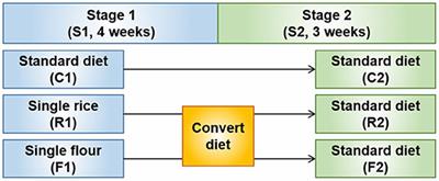 Lipidomics Reveals That Rice or Flour as a Single Source of Carbohydrates Cause Adverse Health Effects in Rats